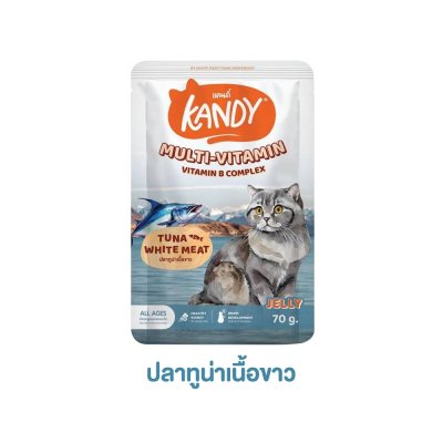 อาหารเปียกแมว Kandy สำหรับลูกแมว และแมวโต ขนาด 70 กรัม
