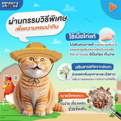 อาหารแมวชนิดเม็ด Master's Choice (มาสเตอร์ช้อยส์) ถุง 1 KG