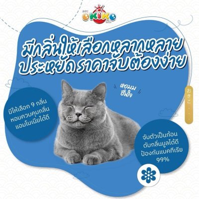 ทรายแมว Okiko ทรายแมวเบนโทไนท์ โอคิโกะ เกรดพรีเมี่ยม ขนาด 5 - 20 ลิตร
