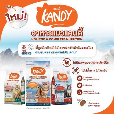 อาหารแมวโฮลิสติก Kandy แคนดี้ ขนาด 1.5 Kg