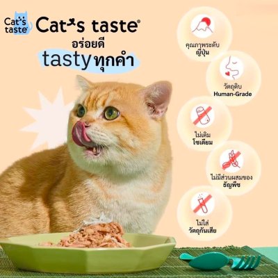 อาหารเปียกแมว แคทเทส Cat's Taste ขนาด 75 กรัม (เยลลี่)