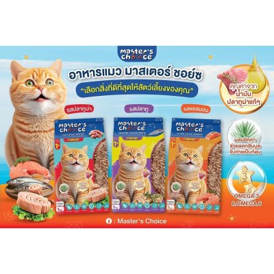 อาหารแมวชนิดเม็ด Master's Choice (มาสเตอร์ช้อยส์) ถุง 1 KG