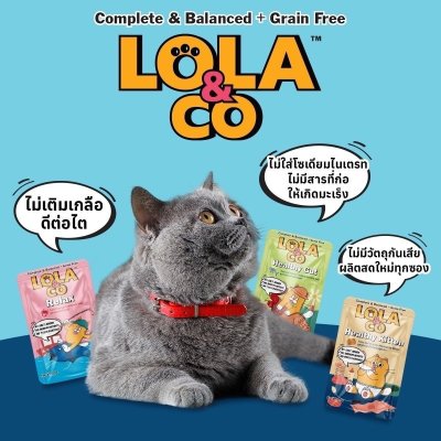 อาหารเปียกแมว Lola&CO โลล่าแอนด์โค ขนาด 80 กรัม