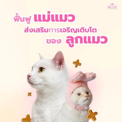 อาหารแมว Buzz Premium Advance Nutrition ขนาด 3 กิโลกรัม