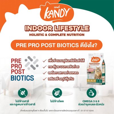 อาหารแมวโฮลิสติก Kandy แคนดี้ ขนาด 1.5 Kg