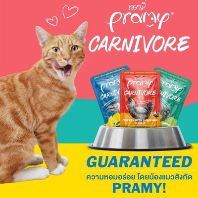 อาหารเปียกแมว Pramy Carnivore พรามี่ คาร์นิวอร์ ขนาด 70 g. (เกรวี่)