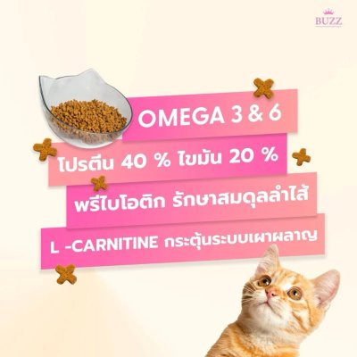 อาหารเม็ดแมวบัซซ์ Buzz Premium Advance Nutrition ขนาด 1 กิโลกรัม
