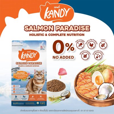 อาหารแมวโฮลิสติก Kandy แคนดี้ ขนาด 1.5 Kg
