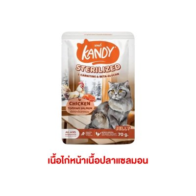 อาหารเปียกแมว Kandy สำหรับลูกแมว และแมวโต ขนาด 70 กรัม
