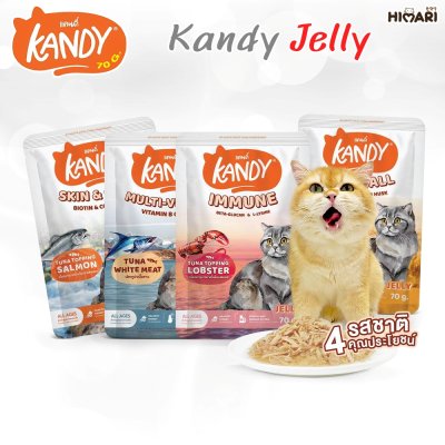 อาหารเปียกแมว Kandy สำหรับลูกแมว และแมวโต ขนาด 70 กรัม