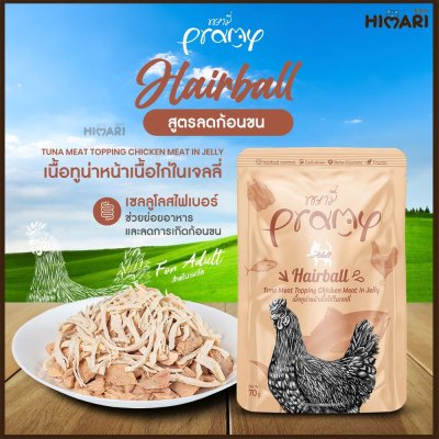 อาหารเปียกแมวพรามี่ Pramy ขนาด 70 กรัม