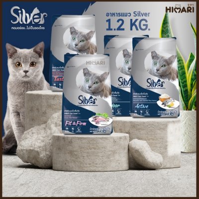 อาหารแมวชนิดเม็ด Silver (ซิลเวอร์) ถุง 1.2 kg