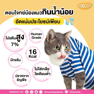อาหารเปียกแมวมูชี่ Moochie Creamy Broths ขนาด 40 กรัม