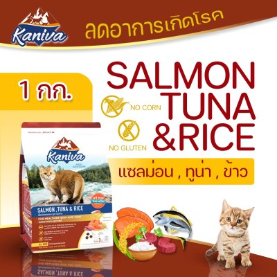 อาหารแมวชนิดเม็ด Kaniva (คานิว่า) ถุง 1 KG
