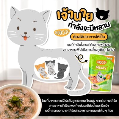 อาหารเปียกแมว มูชี่ Moochie สูตร Meaty ขนาด 70 กรัม
