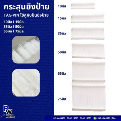 กระสุนยิงป้าย (TAG-PIN)