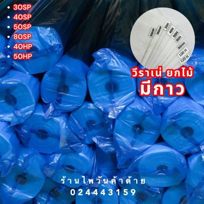 วีราเน่ ยกไม้ มีกาว