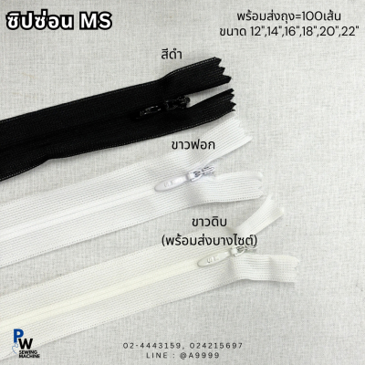 ซิปซ่อนMS