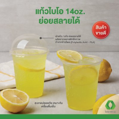 Bio PLA Plain Clear Cup (14 oz)