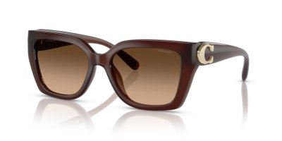 COACH รุ่น 0HC8408F