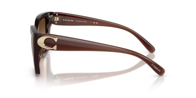 COACH รุ่น 0HC8408F