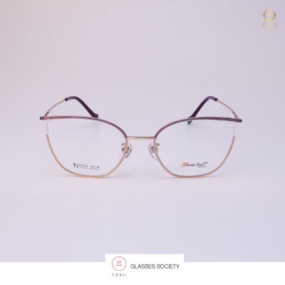 Snow bird รุ่น R2226