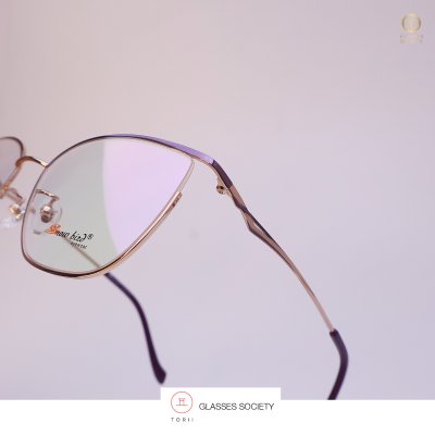 Snow bird รุ่น R2226