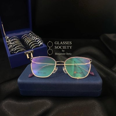 Snow bird รุ่น R2226