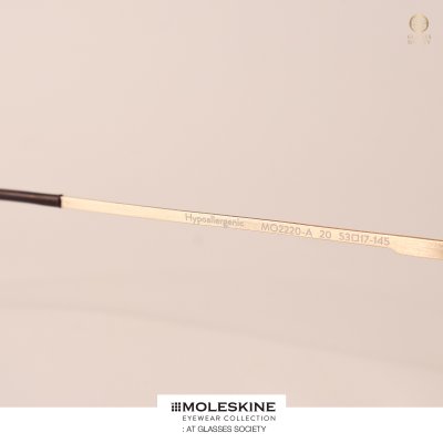 MOLESKINE รุ่น MO2220-A 20