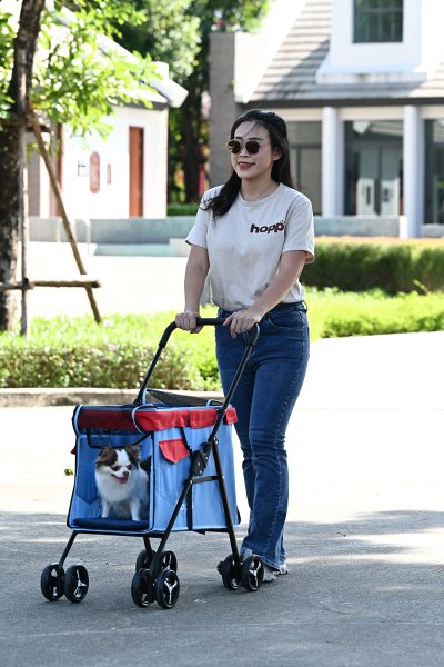 Hopp รถเข็นสัตว์เลี้ยงรุ่น Boxy(บ็อกซี่)