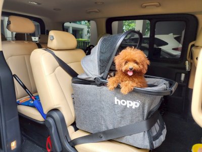 Hopp รถเข็นสัตว์เลี้ยงรุ่น Carry 3IN1 Hopp รถเข็นสัตว์เลี้ยงรุ่น Carry 3IN1