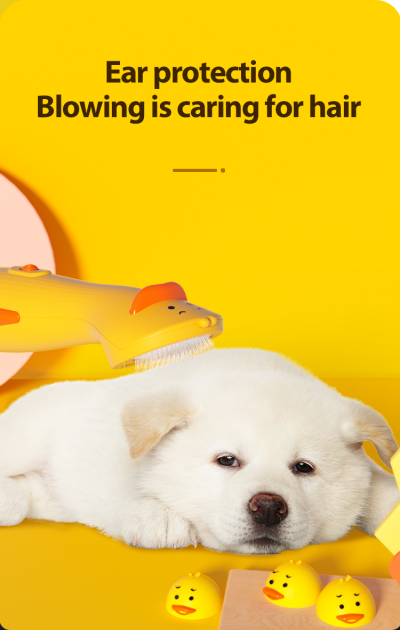 L&W Bros หวีไดร์ไฟฟ้า 2IN1 L&W Bros หวีไดร์ไฟฟ้า 2IN1