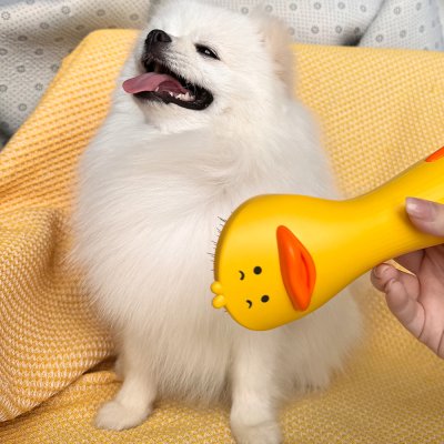 L&W Bros หวีไดร์ไฟฟ้า 2IN1 L&W Bros หวีไดร์ไฟฟ้า 2IN1