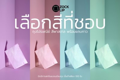 ZL11 ถุงไปรษณีย์