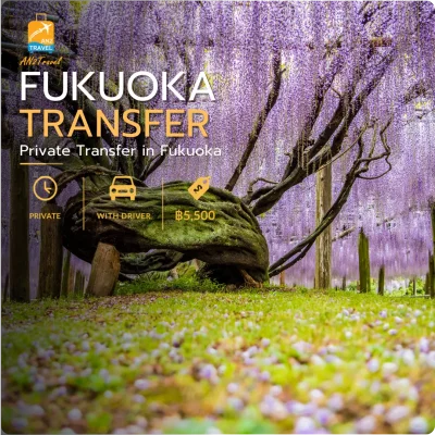 Fukuoka Private Tour & Transfer
