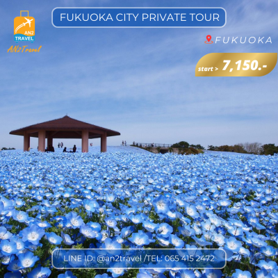 Fukuoka City Private Tour