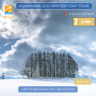 Asahiyama Zoo Winter 1-Day Tour / Join Tour