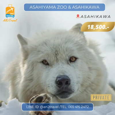 Asahiyama Zoo & Asahikawa Day Tour