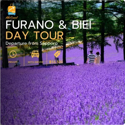 Furano & Biei Private Day Tour