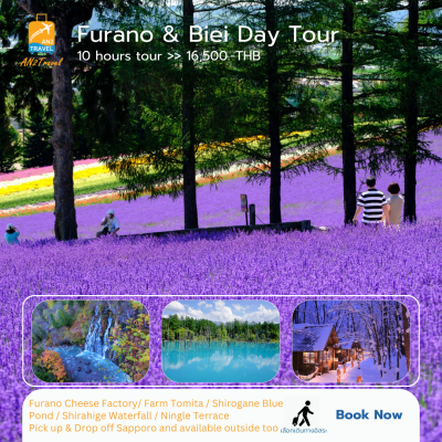 Furano & Biei Private Day Tour