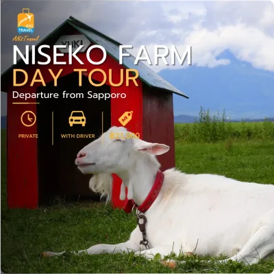 Niseko Panorama Private Day Tour