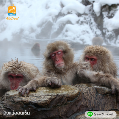 Nagano, Monkey Onsen, Shirakawago, Takayama 6 days 4 nights, Air Asia X (XJ)