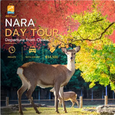 Nara Private Day Tour