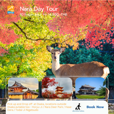 Nara Private Day Tour