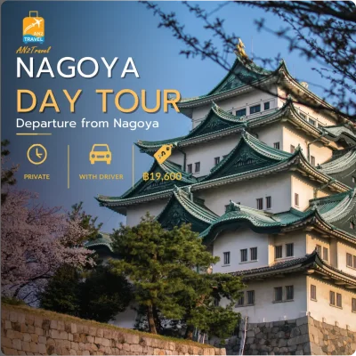 Nagoya City Private Day Tour