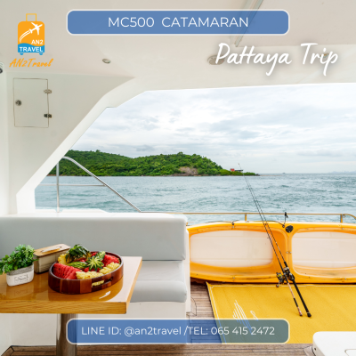 MC500- 50ft  Motor Catamaran MC500- 50ft  Motor Catamaran