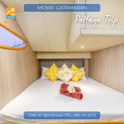 MC500- 50ft  Motor Catamaran MC500- 50ft  Motor Catamaran