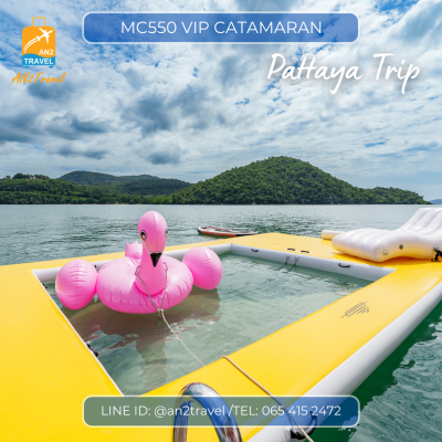 MC550VIP- 55ft  Motor Catamaran MC550VIP- 55ft  Motor Catamaran