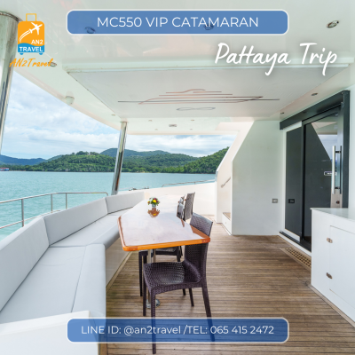 MC550VIP- 55ft  Motor Catamaran MC550VIP- 55ft  Motor Catamaran