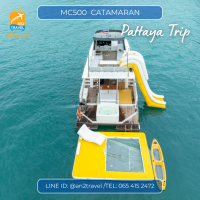 MC500- 50ft  Motor Catamaran MC500- 50ft  Motor Catamaran